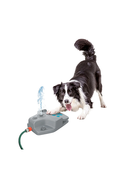 Zoofari Dog Water Fountain