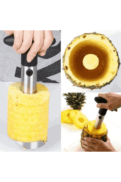 Tainless Steel Fruit Pineapple Cutter Corer Slicer Peeler