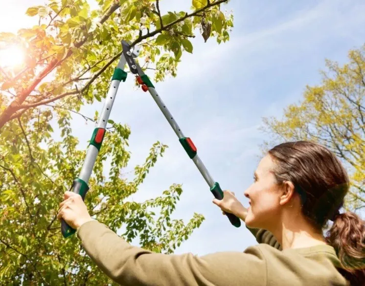 PARKSIDE Telescopic Scissor Pruner With Non-stick Coating